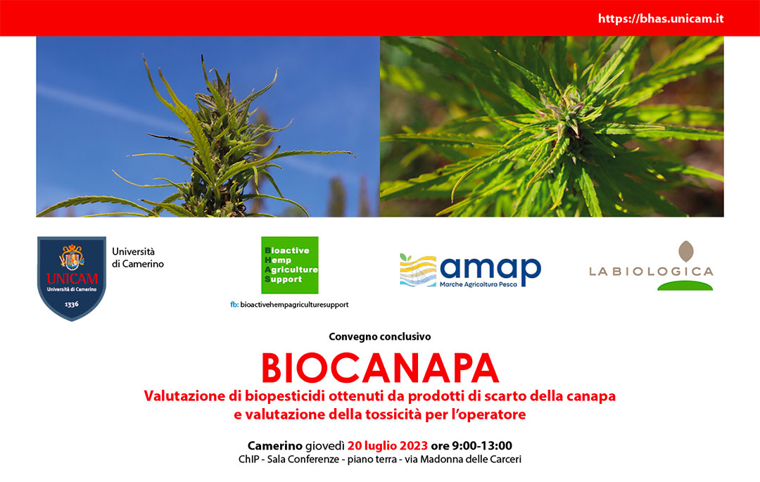 Locandina