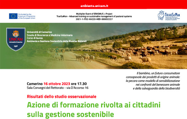 immagine di locandina
