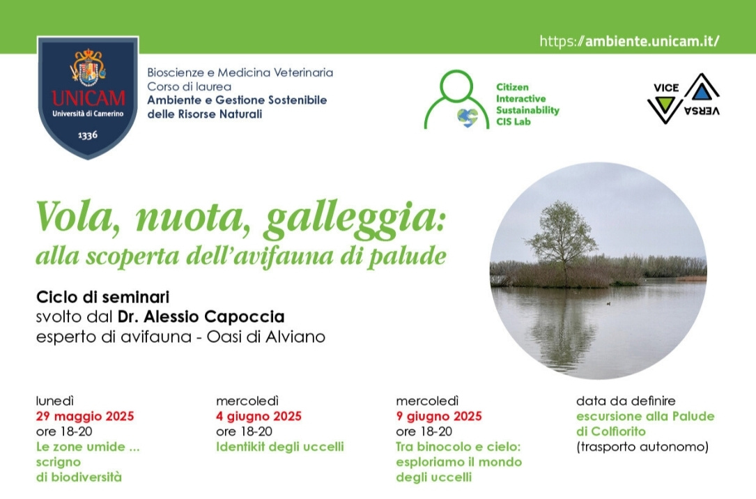 Locandina