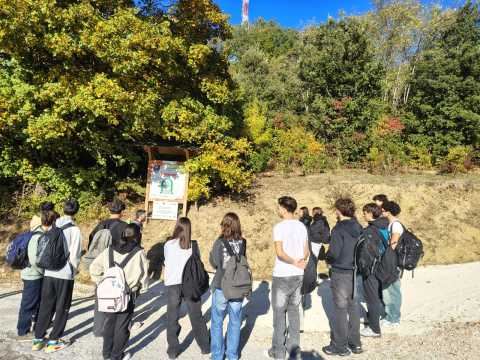 Studentesse e studenti in visita all'Arboreto