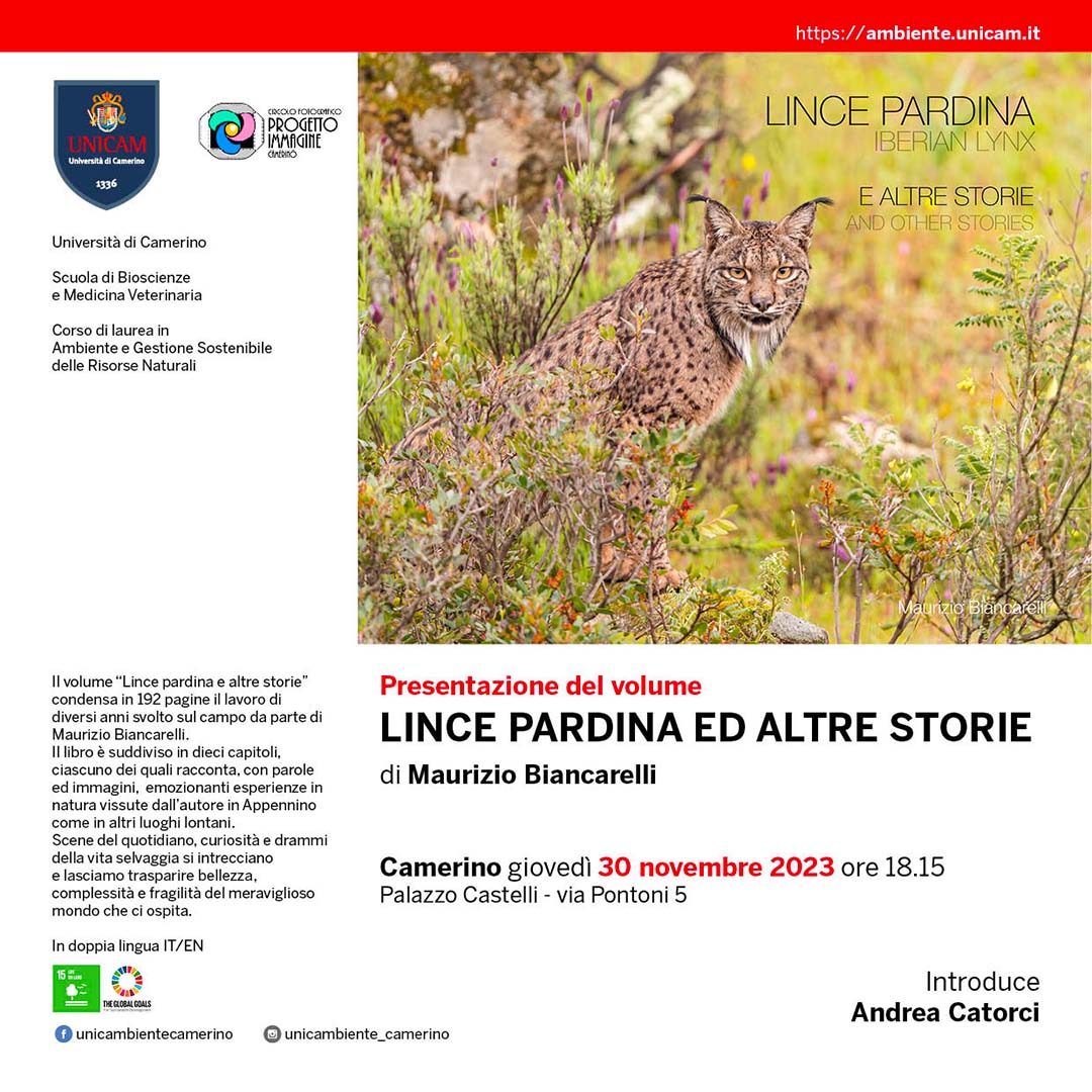 Locandina
