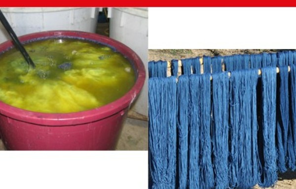 I colori naturali e tecniche di tintura