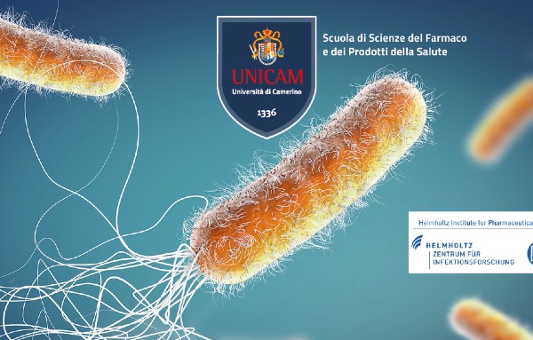 Innovative strategies to tackle the antimicrobial resistance problem
