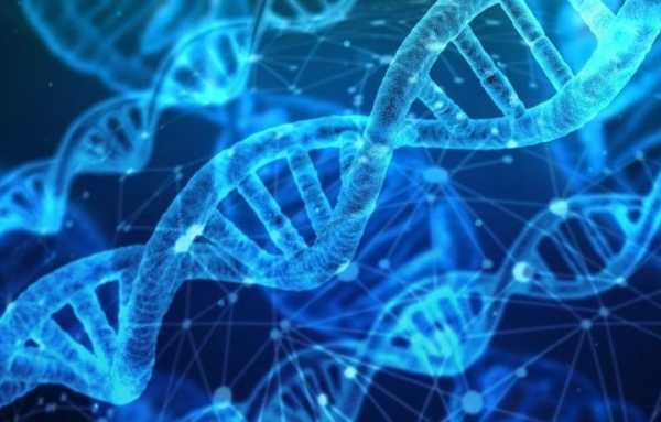 Oncologia di precisione: elementi di scelta e di appropriatezza