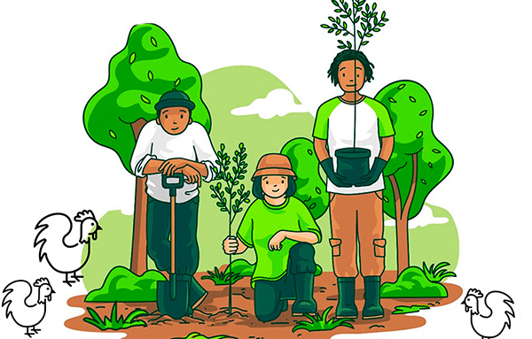 Agroforestry 101