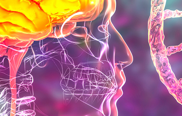 Charting the Genetics of Alzheimer’s Disease across APOE, Age, Sex, and Ancestry