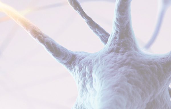 NOP Receptor Agonist: From Jet-Lag to Addiction