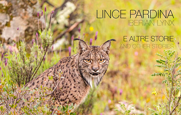 Presentazione del volume "Lince pardina ed altre storie"