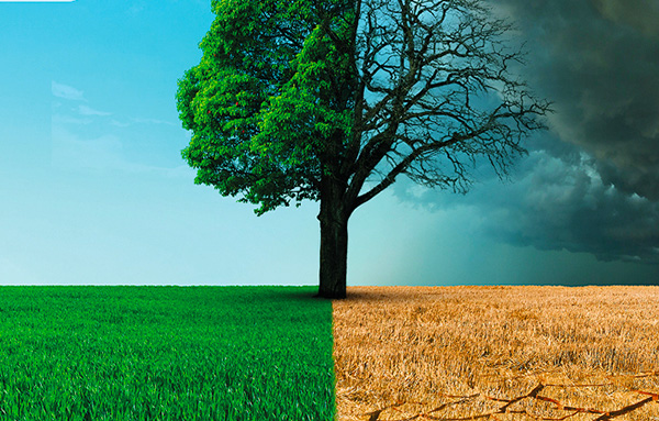 Giornata per il clima e l'ambiente