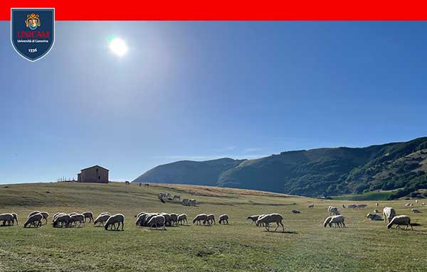 locandina home page