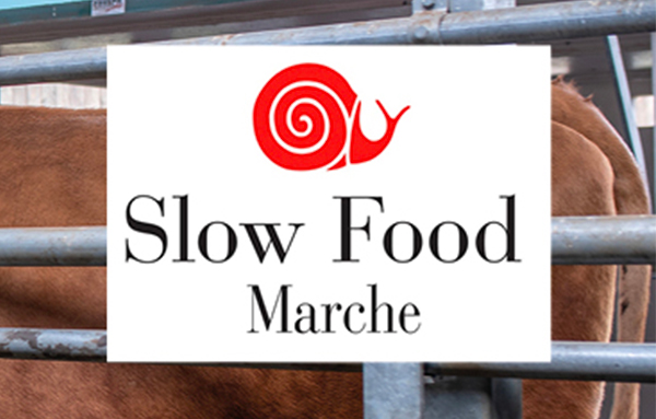 Slow Food Marche