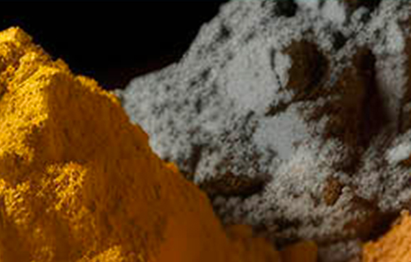 Theranostic Curcumin-Based Rare-Earth Agents