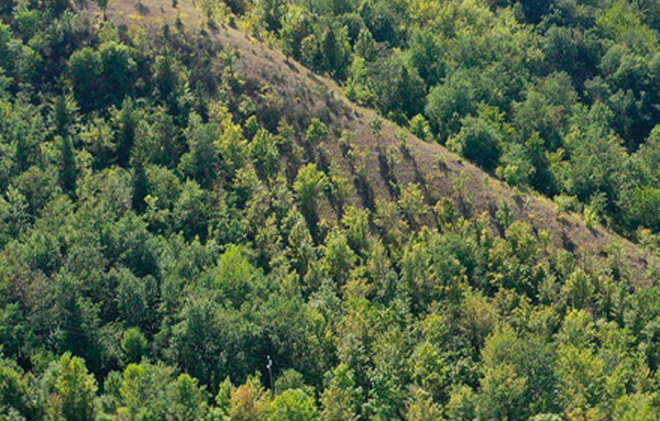 Inaugurazione Arboretum Apenninicum