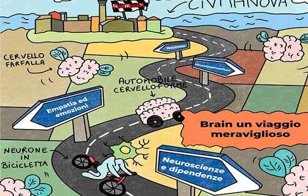 Brain, un viaggio meraviglioso