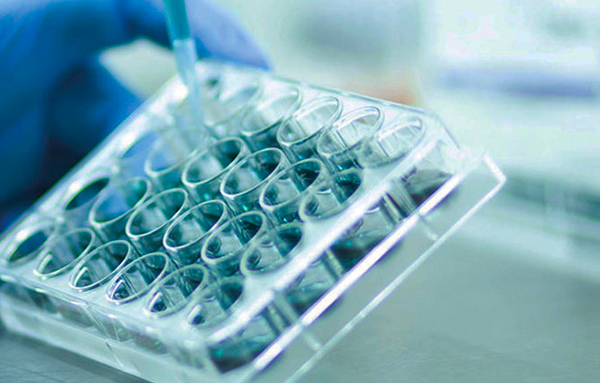 Biological Assays for Structural-Activity