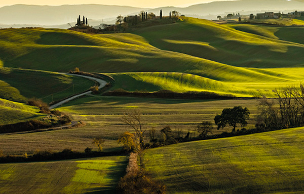 Comparative research on rural tourism  between Italy and Japan