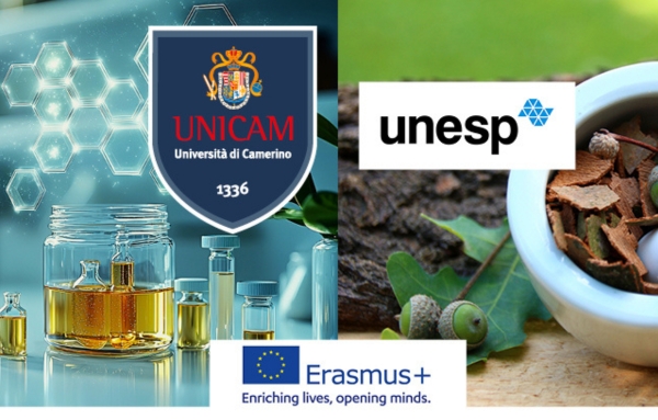 Meeting University of Camerino and Universidade Estadual Paulista Julio De Mesquita Filho (UNESP)