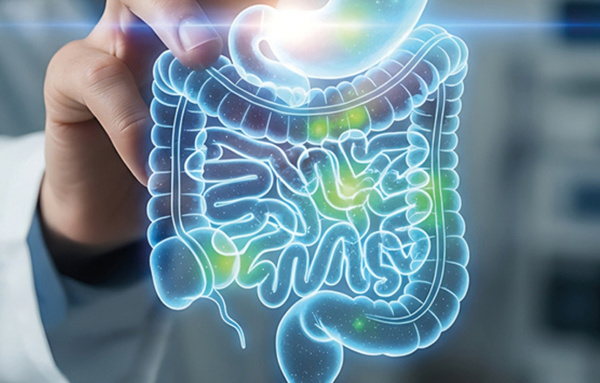 Advanced Human 3D in vitro Models to Explore the Toxic Effects of Environmental Contaminants and Probiotic-Driven Mitigation