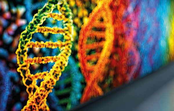 Structural Bioinformatics: Data-Driven Discovery Structural Bioinformatics: Data-Driven Discovery