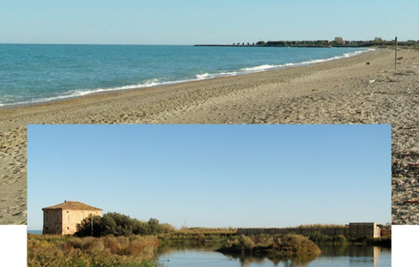 Riserva della Sentina: biodiversità e minacce