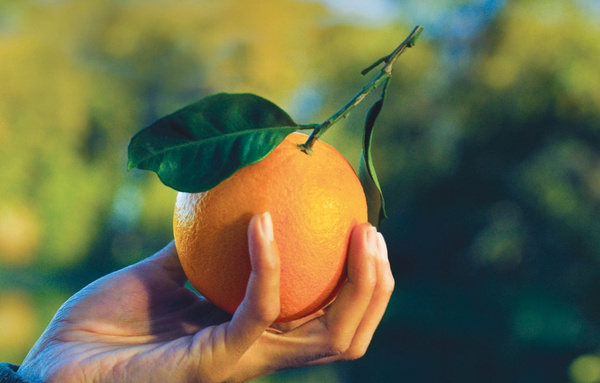Le Arance della Salute