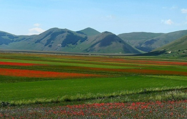 Trekking tra i fiori