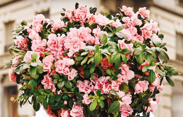 Il futuro della ricerca è nelle nostre mani