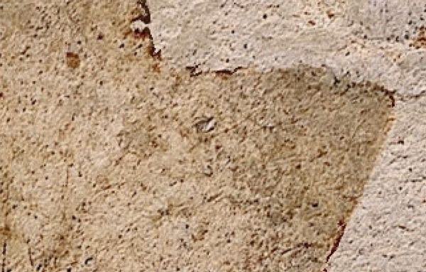 Le meraviglie fossili delle antiche gessaie di Senigallia