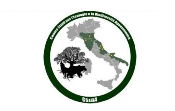 Oltre il conflitto: strategie per la coesistenza tra uomo e fauna selvatica