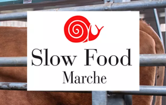 Slow Food Marche