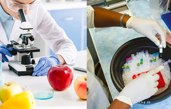 Stage Bioscienze