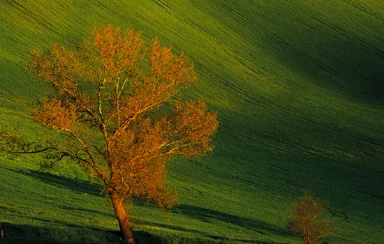 Out and About Backyard: un viaggio nella bellezza della campagna camerte Out and About Backyard: un viaggio nella bellezza della campagna camerte