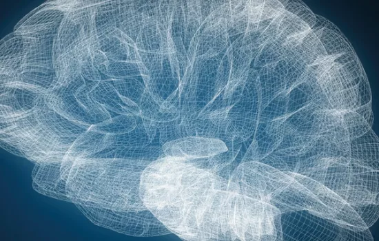 A Journey Through 25 Years of Neuroscience and Drug Addiction Research