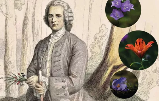 Lettere botaniche