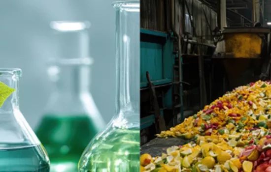 Il Bio-Distretto dei Monti Azzurri tra ricerca, sostenibilità e territorio