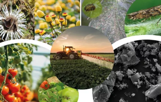 Agricoltura sostenibile Agricoltura sostenibile