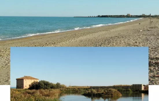 Riserva della Sentina: biodiversità e minacce