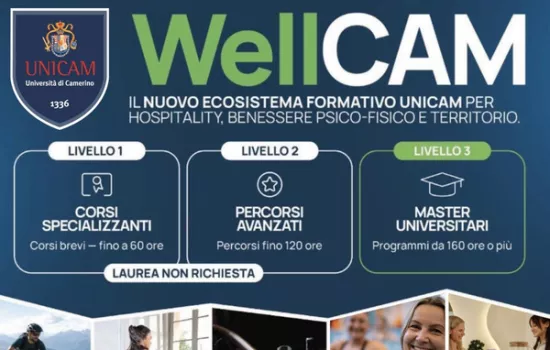 Presentazione progetto WellCAM