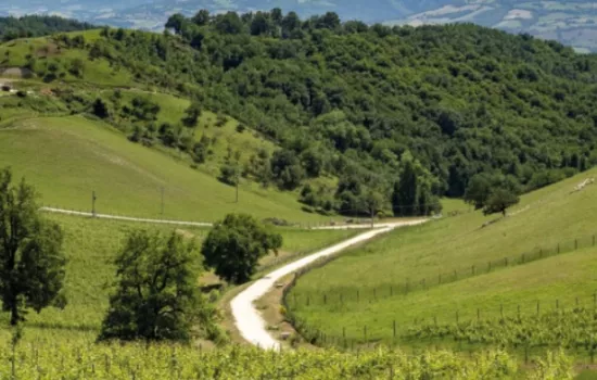 La scienza dei luoghi