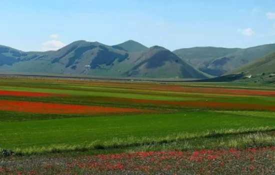 Trekking tra i fiori