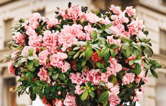 Il futuro della ricerca è nelle nostre mani