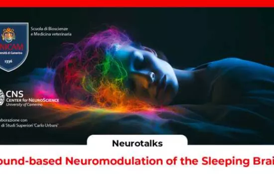 Copertina Sound-based Neuromodulation of the Sleeping Brain:  Basic Principles and Emerging Frontiers