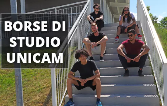 borse di studio